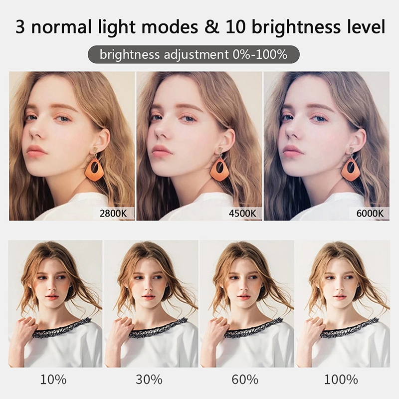 10 inch LED Selfie Ring Light  - Photography Lighting Description 评论和价格